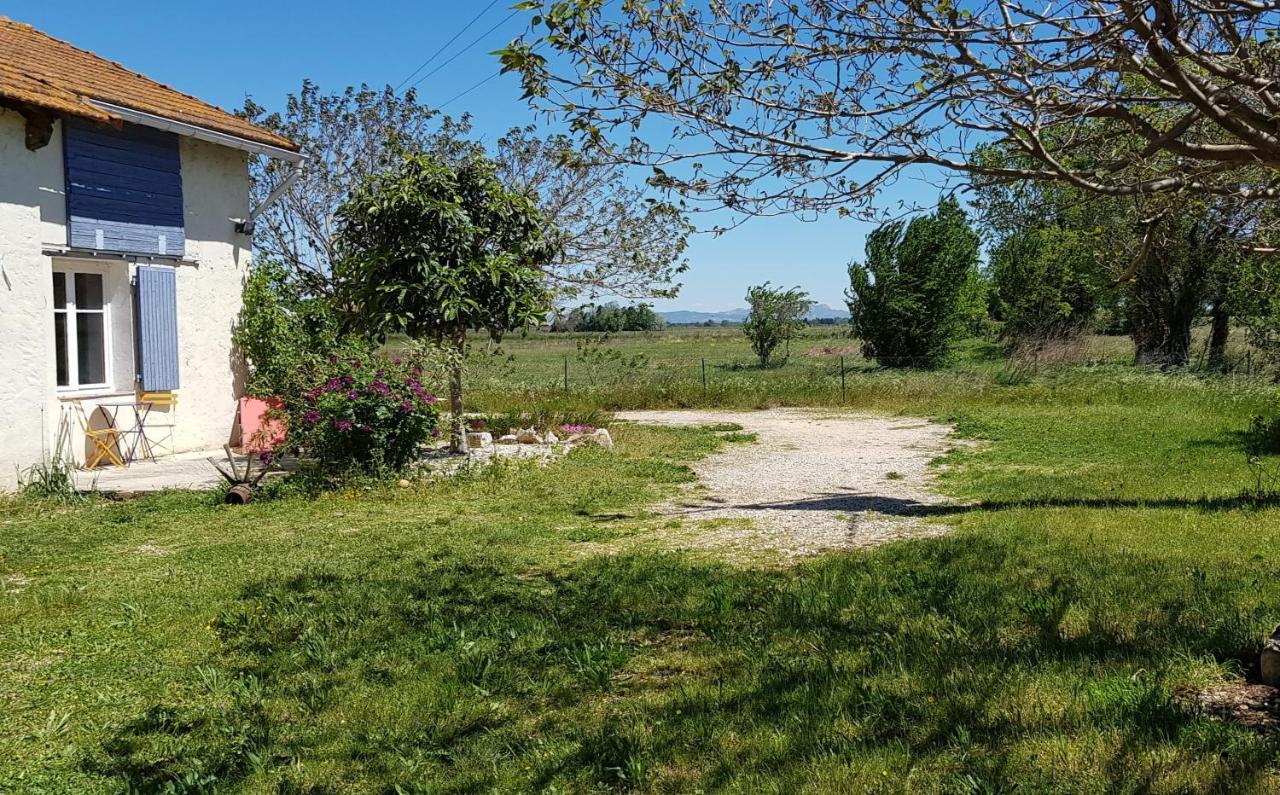 Petite Maison Refaite A Neuf Dans Mas Du 19Eme Siecle Arles Luaran gambar