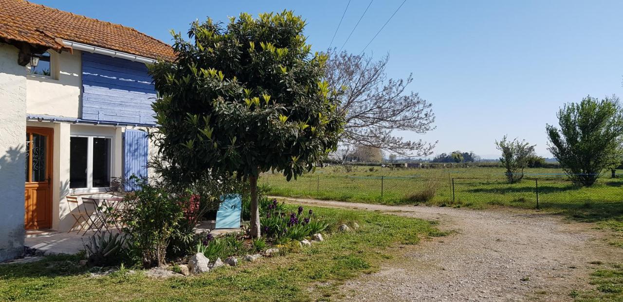 Petite Maison Refaite A Neuf Dans Mas Du 19Eme Siecle Arles Luaran gambar